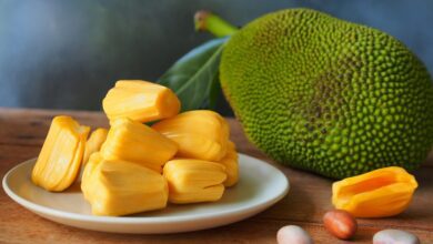 Photo of Jak smakuje Jackfruit PRZEPISY Jak jeść jackfruit w puszcze, co ugotować, uprawa