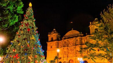Photo of Boże Narodzenie w Meksyku – Pastorelas, Las Posadas i kwiaty poinsecji